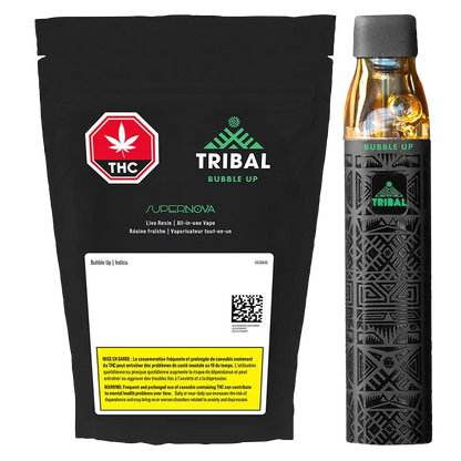 Three-quarter view of the black pouch and patterned black-and-gold cartridge laid side-by-side, labeled "Bubble Up Supernova Live Resin Disposable Vape" and shown against a white background.