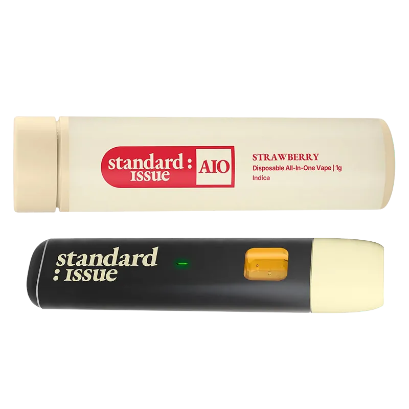 Vapes 1 g Strawberry Disposable Vape Standard Issue