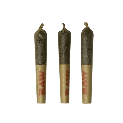 Dab Bods 1.5 g Infused Pre-Rolls