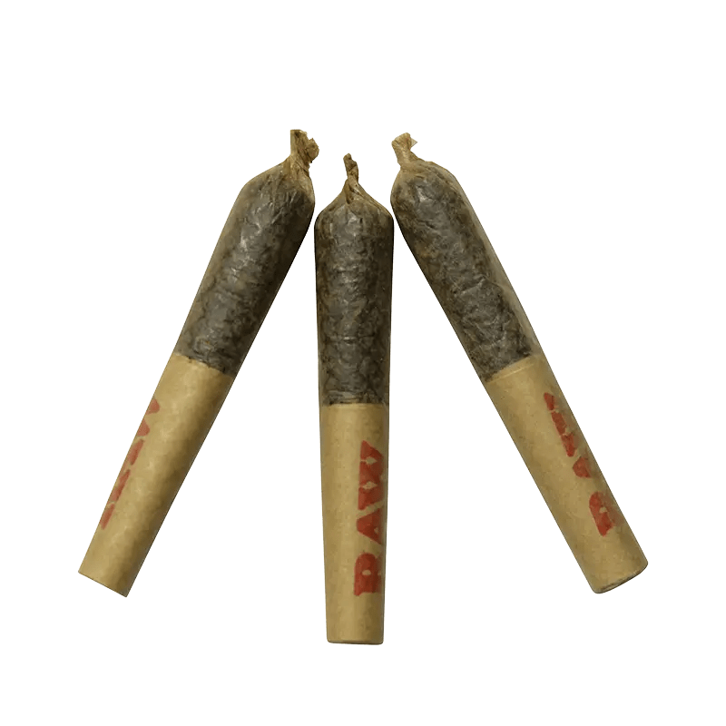 Dab Bods 1.5 g Infused Pre-Rolls