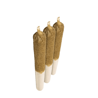 General Admission 1.5 g Infused Pre-Rolls