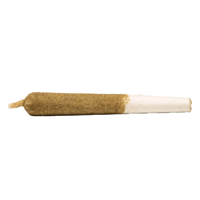 A close-up side view of the Peach Ringz Infused Pre Rolled 3 x 0.5 g, showing a rolled cone with a visible tip.