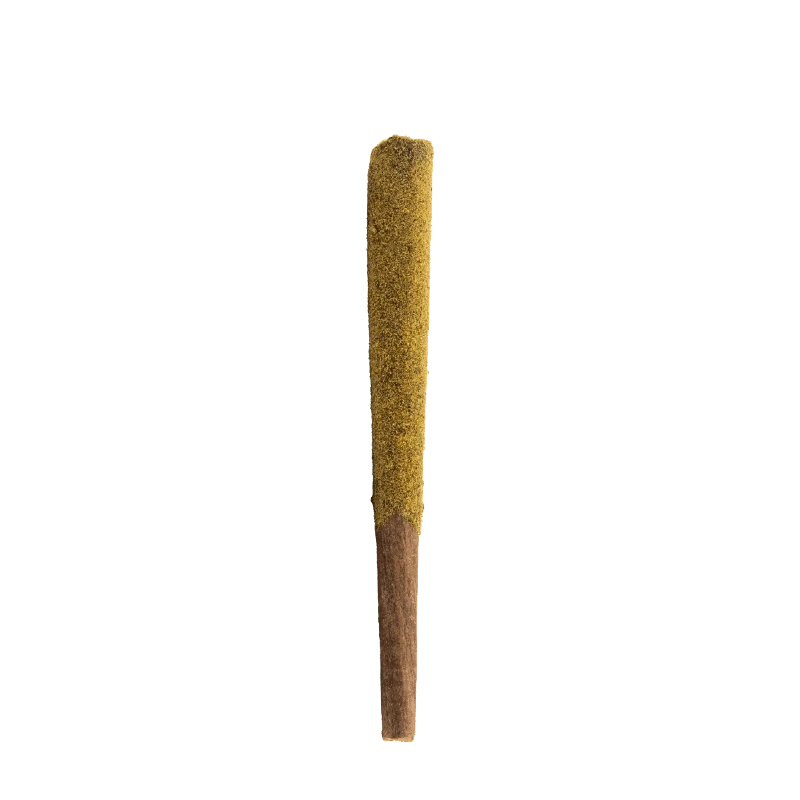 A side view of the Firecracker Infused Pre Rolled 1 x 1.25 g, showing a cylindrical shape with a golden brown hue.