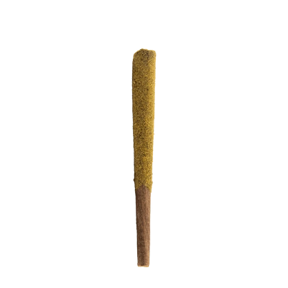 A side view of the Firecracker Infused Pre Rolled 1 x 1.25 g, showing a cylindrical shape with a golden brown hue.