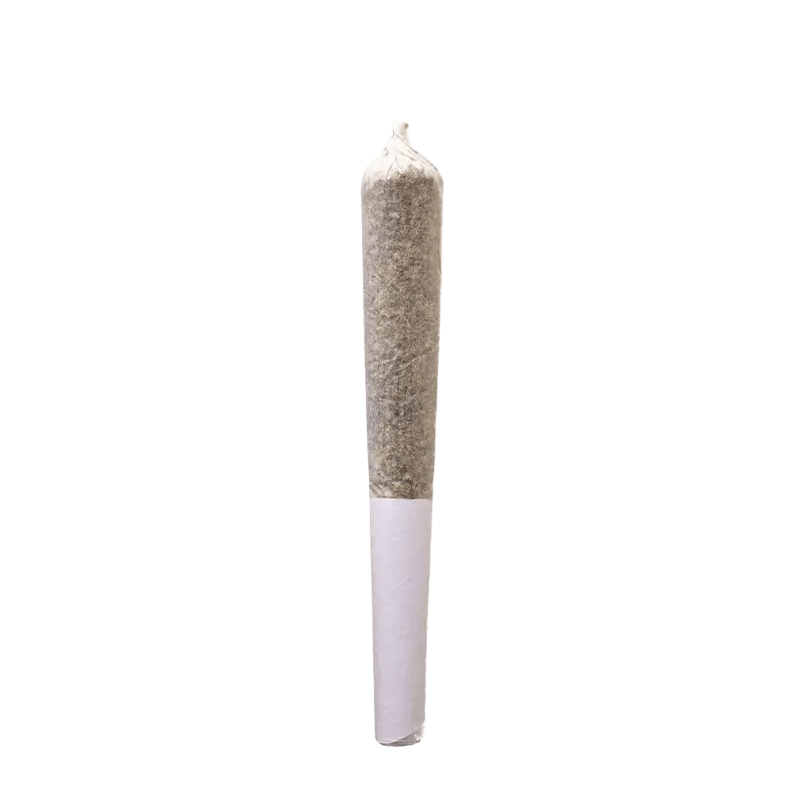 SensiMila 1 g Infused Pre-Rolls