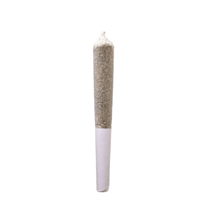 SensiMila 1 g Infused Pre-Rolls