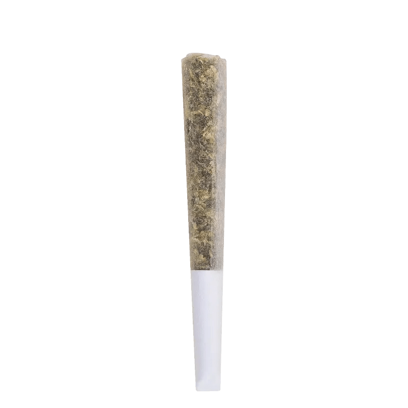 The Loud Plug 0.5 g Infused Pre-Rolls