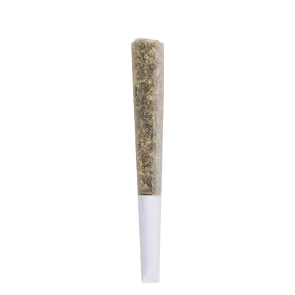 The Loud Plug 0.5 g Infused Pre-Rolls