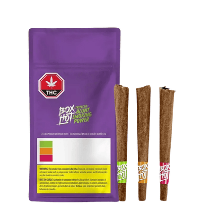 Trifecta of Blunt Smoking Power Infused Blunt PR 3 x 1 g