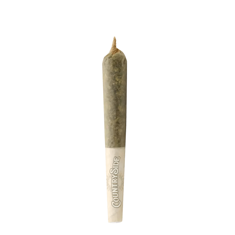 Pura Vida Each Infused Pre-Rolls