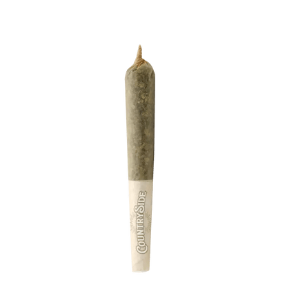 Pura Vida Each Infused Pre-Rolls