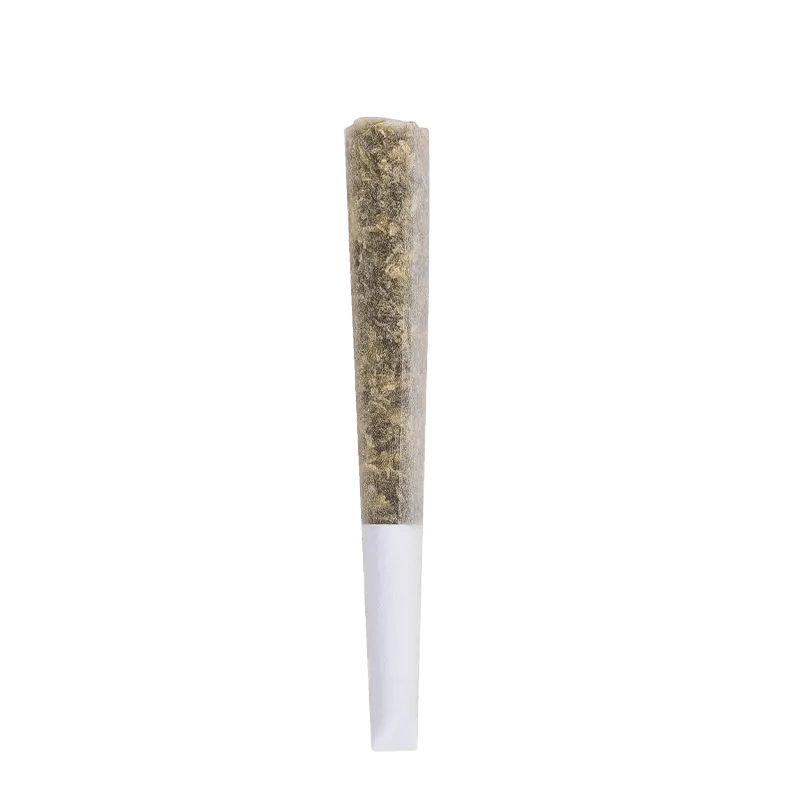 The Loud Plug 1.5 g Infused Pre-Rolls