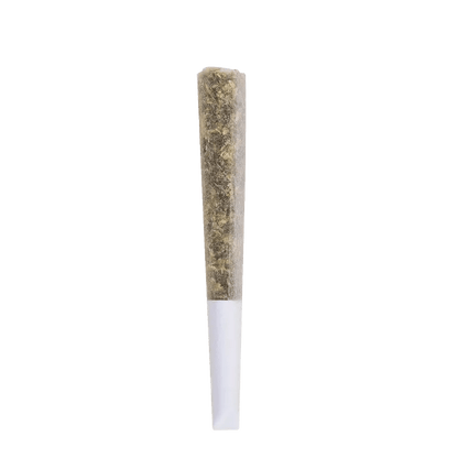 The Loud Plug 1.5 g Infused Pre-Rolls