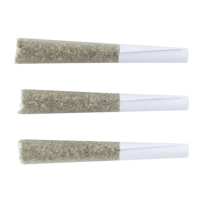 Loud Plug 1.5 g Infused Pre-Rolls