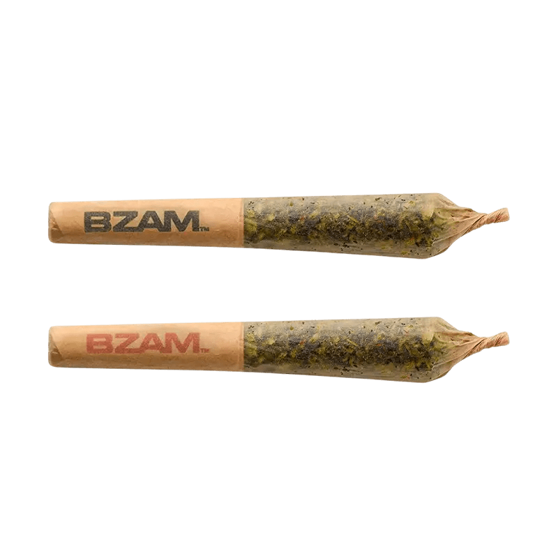 BZAM 2 g Infused Pre-Rolls