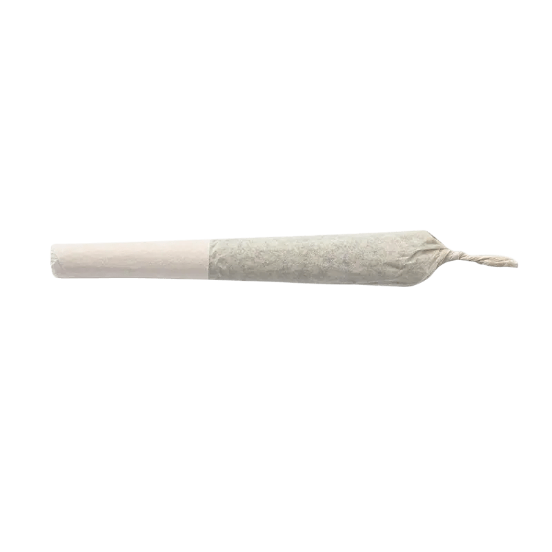 BZAM 2 g Infused Pre-Rolls