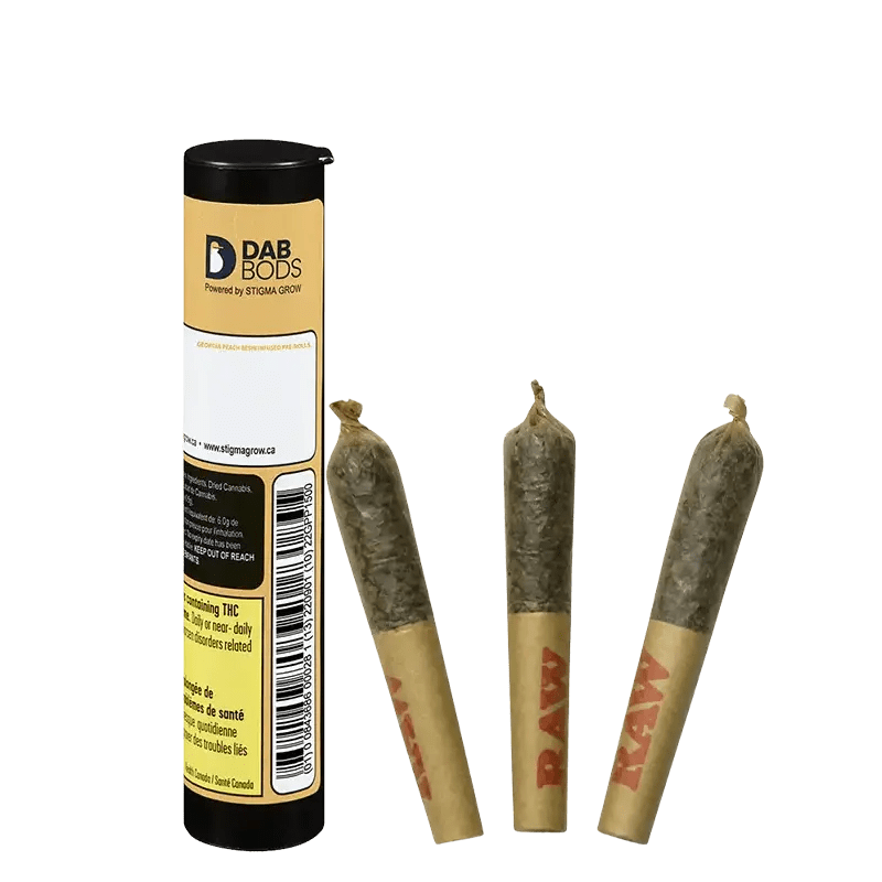 Dab Bods 1.5 g Infused Pre-Rolls