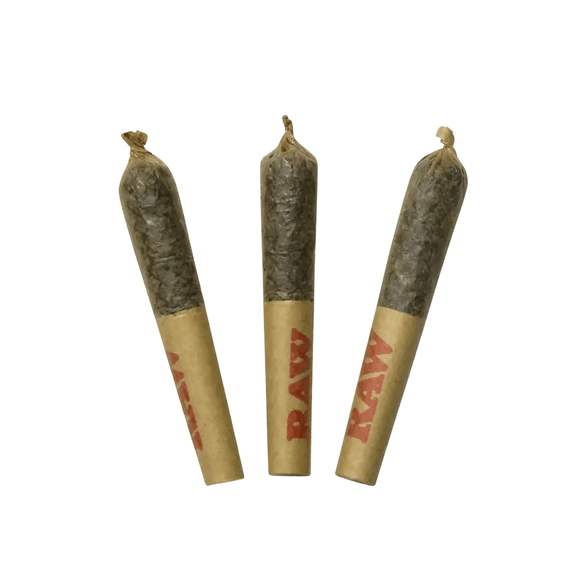 Dab Bods 1.5 g Infused Pre-Rolls