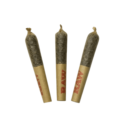 Dab Bods 1.5 g Infused Pre-Rolls