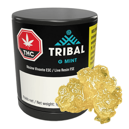 Tribal 1 g Gelato Mint Full Spectrum Live Resin Resin