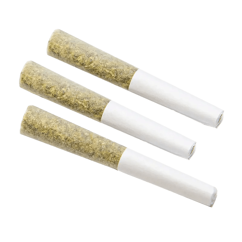 Saturday 1.5 g Infused Pre-Rolls