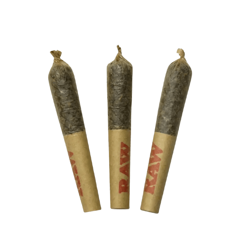 Dab Bods 1.5 g Infused Pre-Rolls