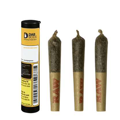 Dab Bods 1 g Infused Pre-Rolls