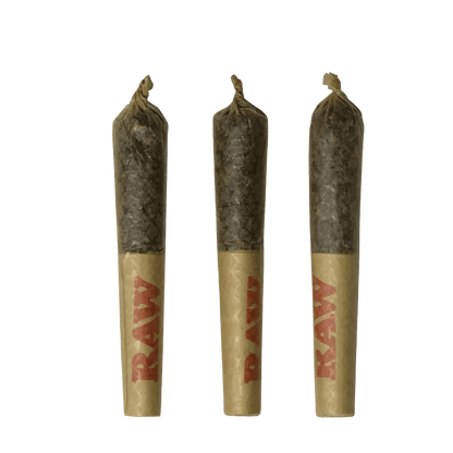 Dab Bods 1 g Infused Pre-Rolls