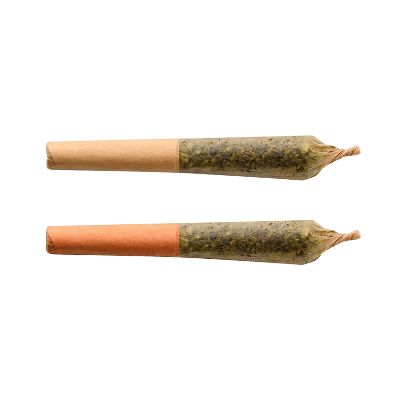 BZAM 1 g Infused Pre-Rolls