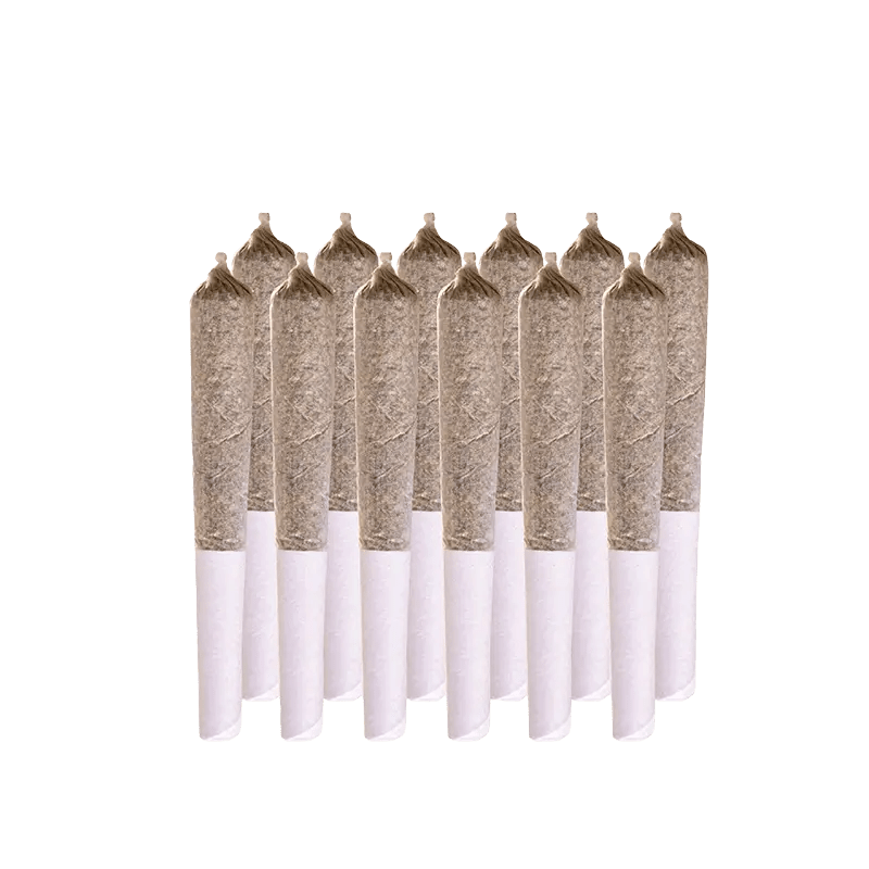 Station House 0.5 g Infused Pre-Rolls