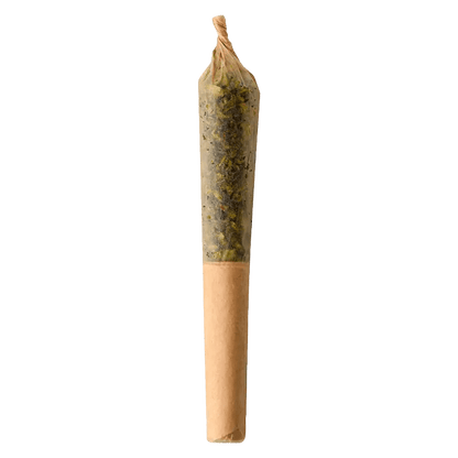 BZAM 0.5 g Infused Pre-Rolls