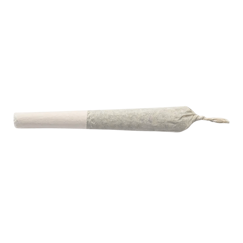 BZAM 0.5 g Infused Pre-Rolls