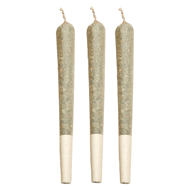 Zest 1.5 g Infused Pre-Rolls