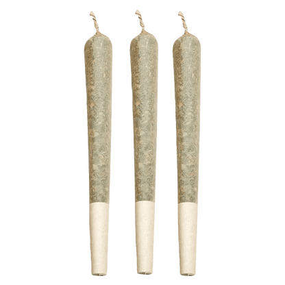 Zest 1.5 g Infused Pre-Rolls