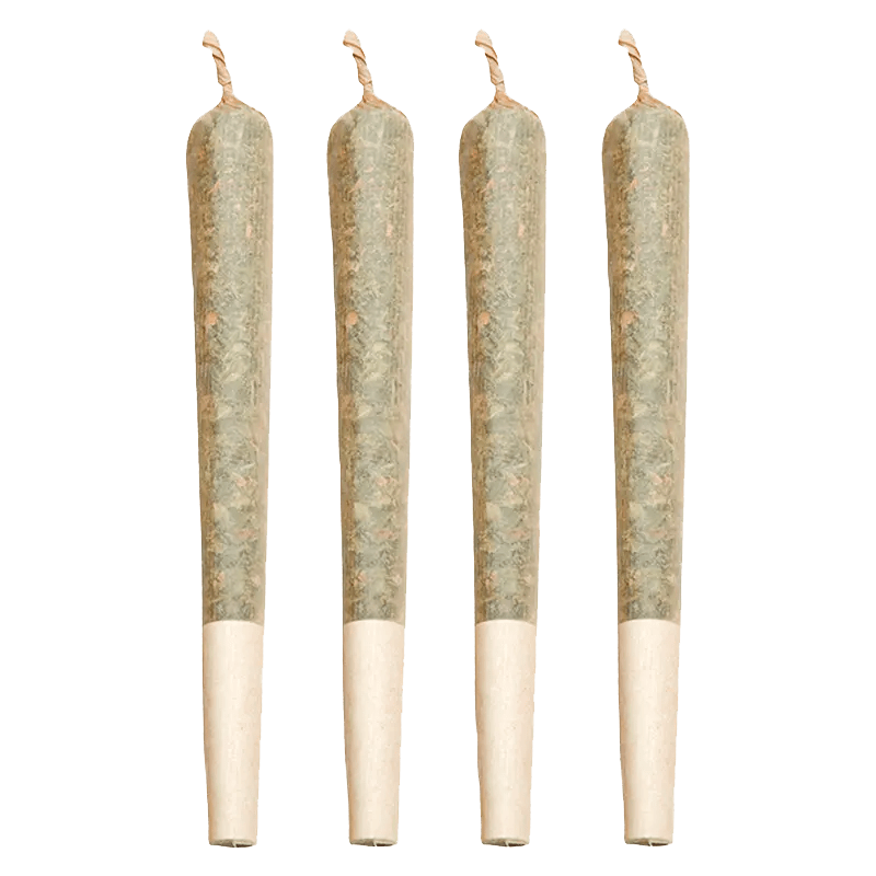 Zest 2 g Infused Pre-Rolls