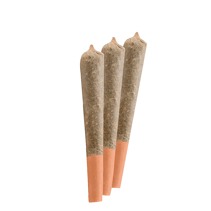 Palmetto 1.5 g Infused Pre-Rolls