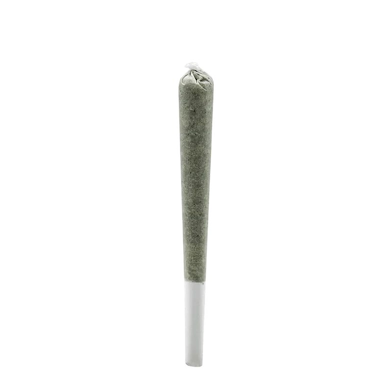 A close-up, angled view of the Island Pink Kush Rosin Infused Pre Rolled 1 x 0.5 g, showing its rolled paper and slightly tapered form.
