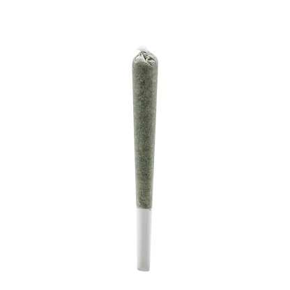 A close-up, angled view of the Island Pink Kush Rosin Infused Pre Rolled 1 x 0.5 g, showing its rolled paper and slightly tapered form.