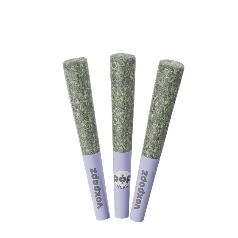 Vox Popz 1.5 g Infused Pre-Rolls