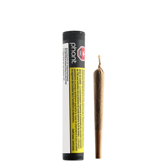 Phant 1x1g Pre Roll