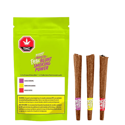 BOXHOT Fatties 3 g Infused Blunts