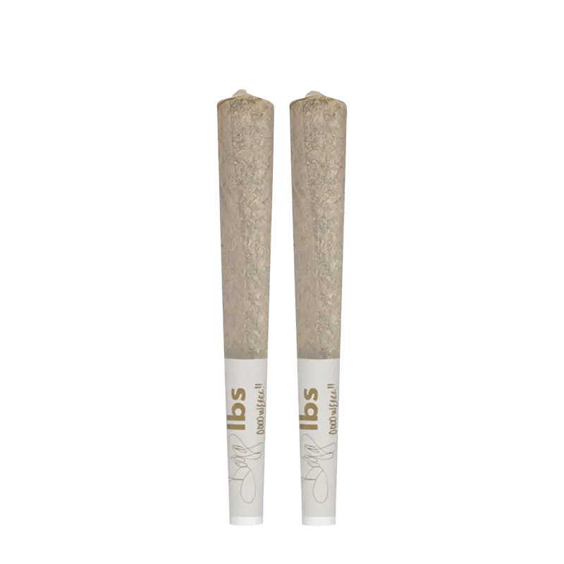 D*gg lbs 1 g Infused Pre-Rolls