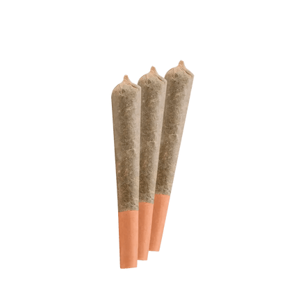 Versus 1.5 g Infused Pre-Rolls