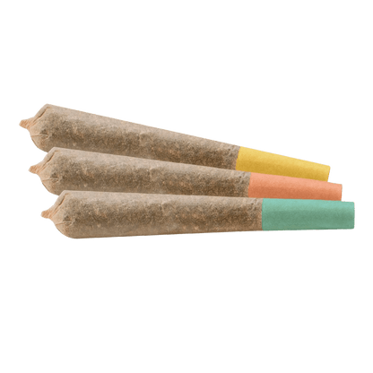 Versus 1.5 g Infused Pre-Rolls