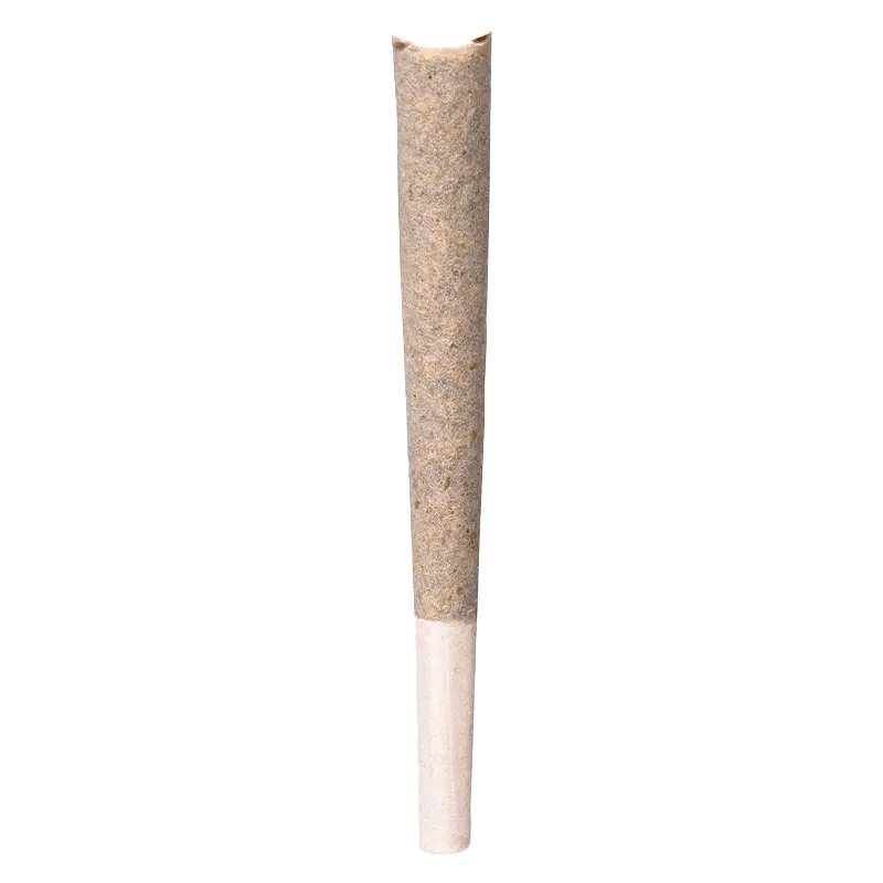 blkmkt 1 g Infused Pre-Rolls