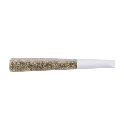 The Loud Plug 1g Pre Roll