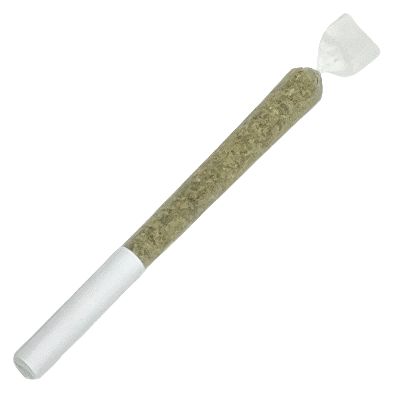 A close-up, angled view of the Slurricane Infused Pre Rolled 3 x 0.5 g pre-roll, showing its paper wrapping.