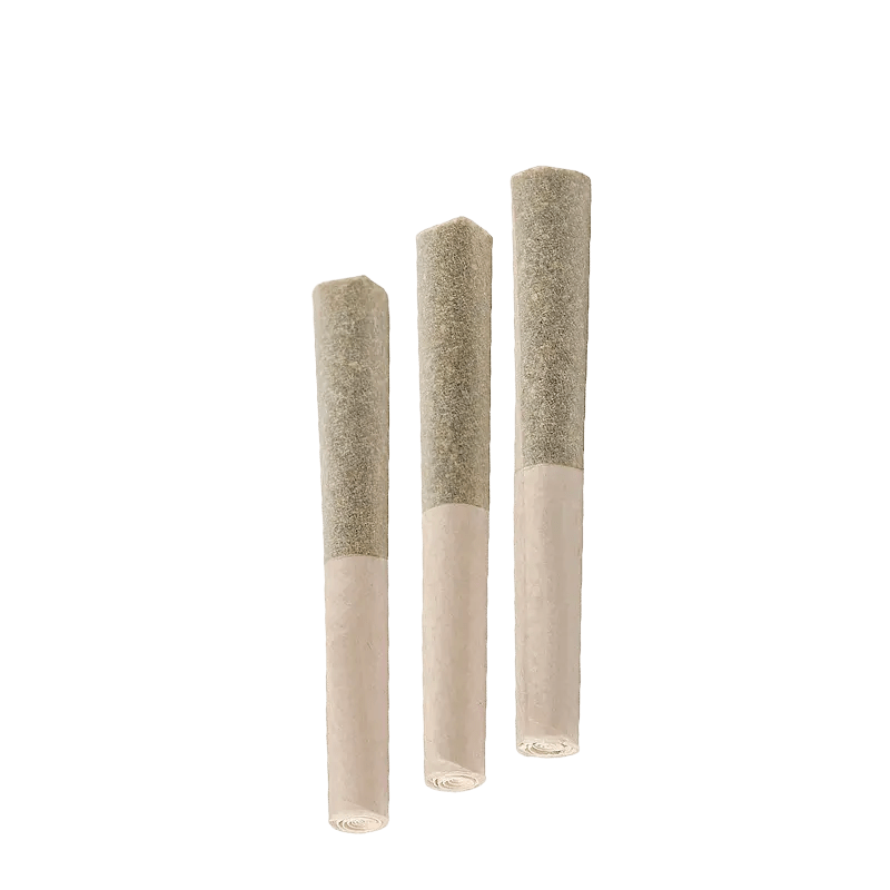 Back Forty Each Infused Pre-Rolls