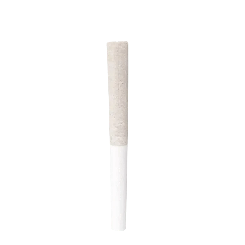 Front view of the Groovy Grape Juiced Infused PR, showcasing its cylindrical form against a plain white background.