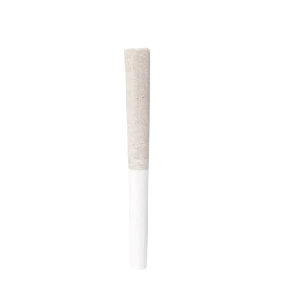 Front view of the Groovy Grape Juiced Infused PR, showcasing its cylindrical form against a plain white background.